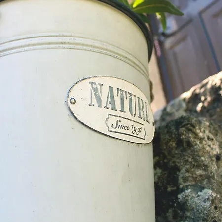 בית נופש Casa Vouzelinha ווזלה